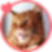 Killian-300x300.webp