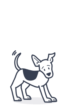 For Puppy Owners