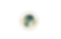 11.png