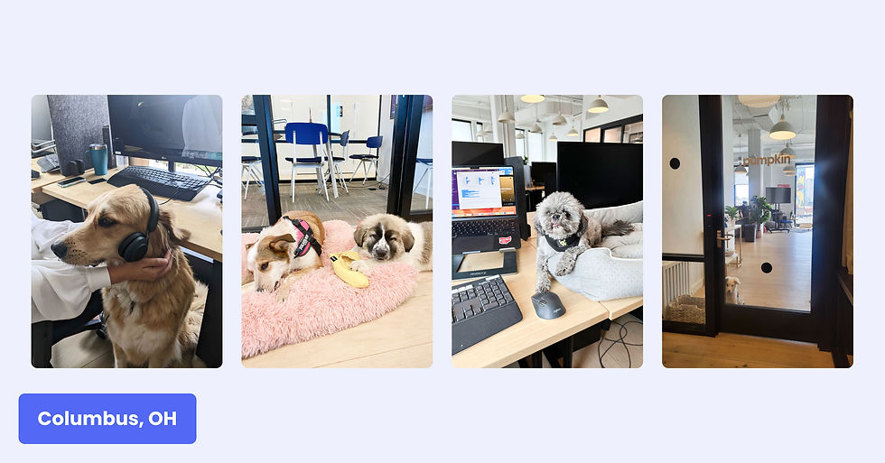 Four images of dogs helping with work in the Columbus office