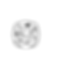 19.png
