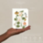 Thumbnail: The Harbinger & Harken Cookbook