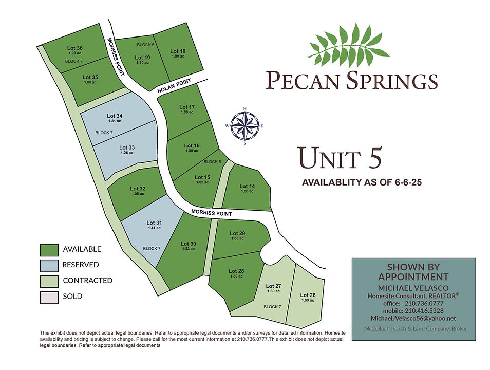 6-6-26_Pecan Springs_Exhibit Flyer8.jpg