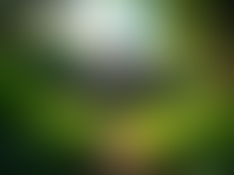 Taino Moor Tribe Tribal Blog Insights