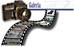 galeria-flyn.png