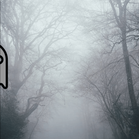 Darianne ogemagishg.gif