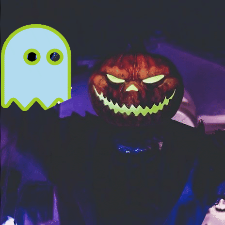 Ezra maciejewsky'.gif