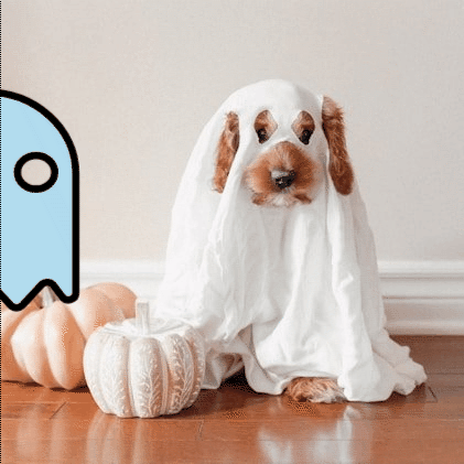 _ Jameson Schuster.gif