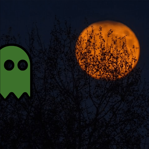 Hedrian Castanon.gif