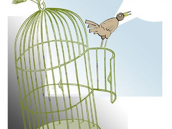 Repensando historias: Las estructuras económicas