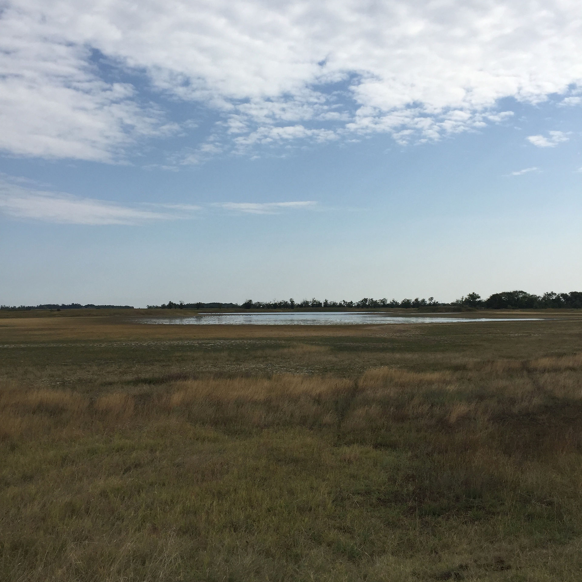 Salt pan