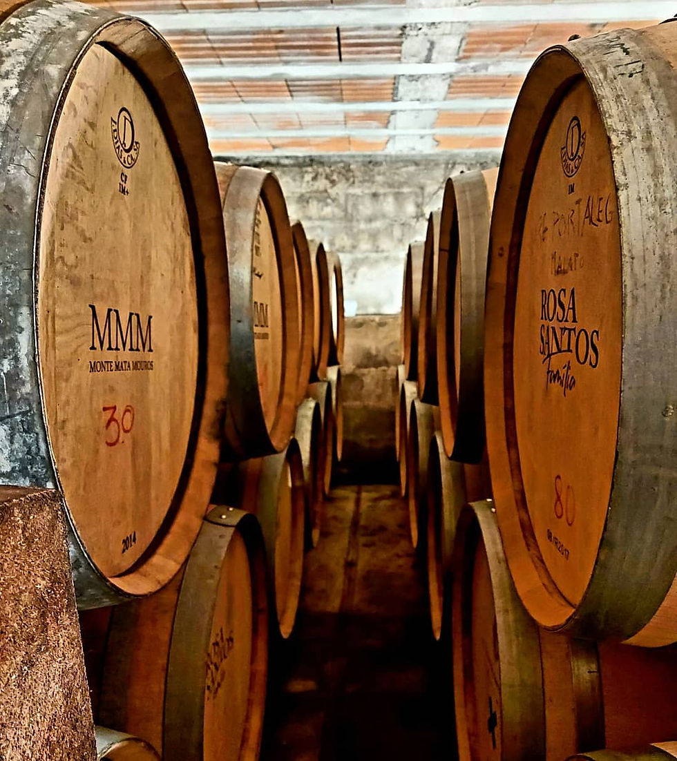 FAMILIA ROSA SANTOS
