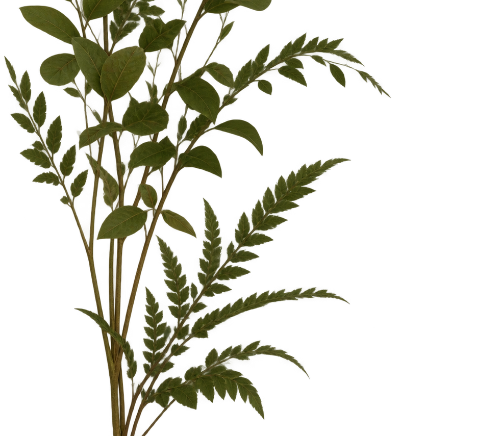 Plant