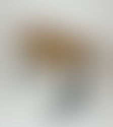 ✨ Willkommen bei Bleibtisch – hinter den Kulissen