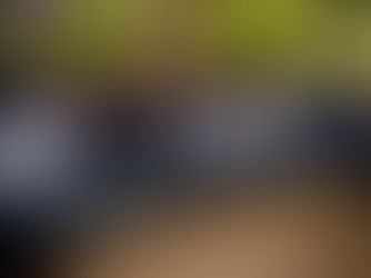 Engaging Boys, Shaping the Future!