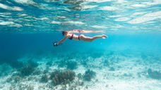 Underwater photo by Elora Explora at WhatSup Bonaire