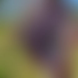 פונצ'ואים מדלהי – סטייל מחמם למסיבות טבע ופסטיבלים