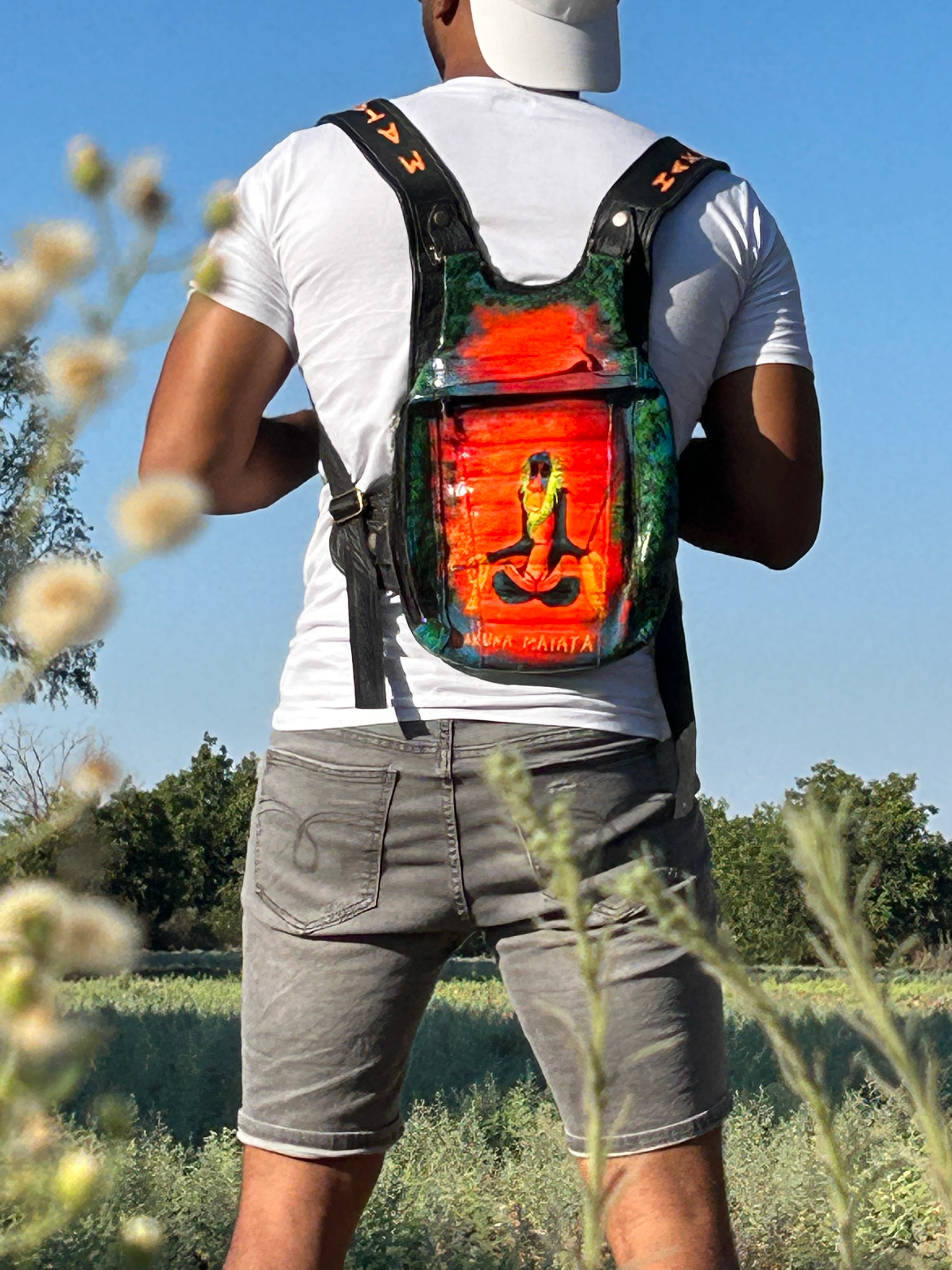 תיקי נינג'ה ציור