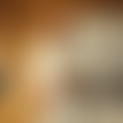 מהטמה גנדי בתקופת השואה