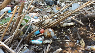 The Amazing Ball Collection