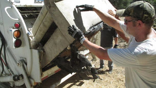 Eerie Green Algae Hosts Marvels