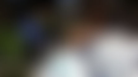 My First Coyote Creek Cleanup