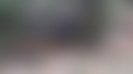 Effect of Homelessness on the Creek
