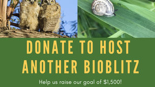 Help us host more BioBlitz events