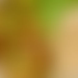 Red Curry Vegetables and Rice- VEGAN and GLUTEN FREE