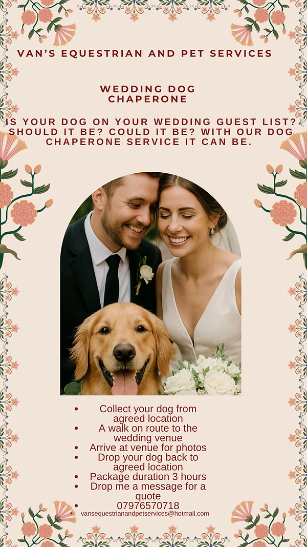 Wedding Dog Chaperone.PNG
