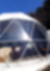 dome3.jpg