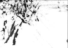 A65A9EE3-14A8-460E-A146-5A6C94A84392.jpeg