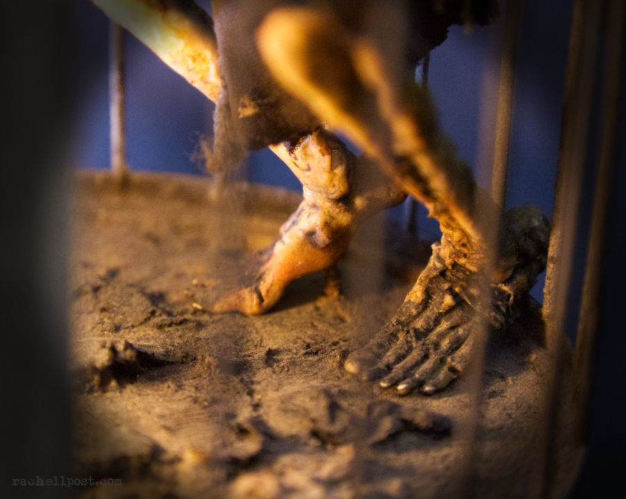 Miniatyrbild: Miniature Woman