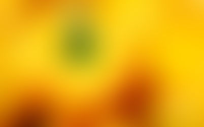 Los pimientos son una maravilla de la naturaleza, ¡entérate de todo lo bueno que tienen para ti!