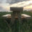 Miniatura: Bird feed picnic table