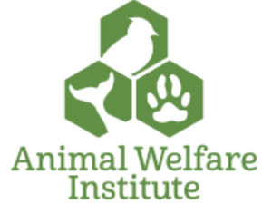 5 Ways You Can Help Farmed Animals