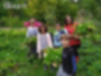 jasminka požek-božuta with children in the forest at Bloom School Sarajevo.