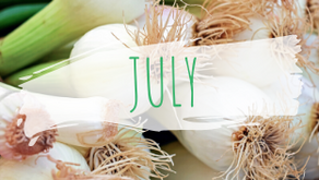 Summer 2020 Newsletter
