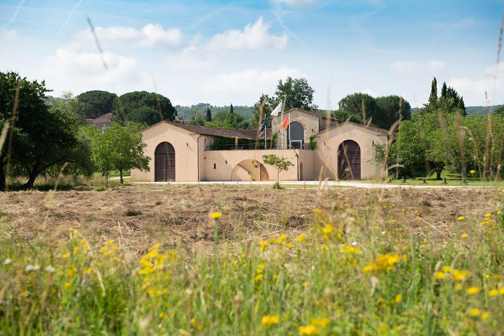 Chateaugautoul performance by Formatnull