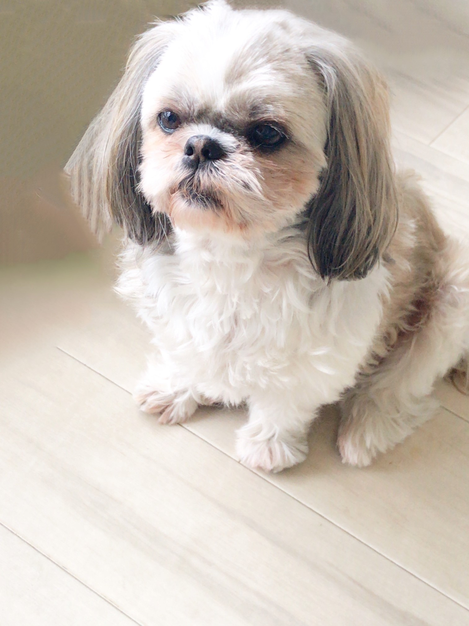 SATO