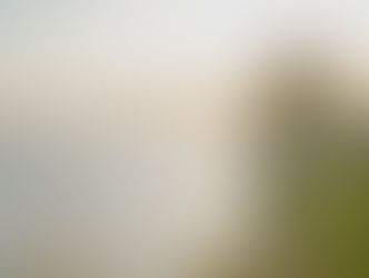 A Arte do Silêncio: Uma Reflexão Sobre Quietude, Sentido e Presença