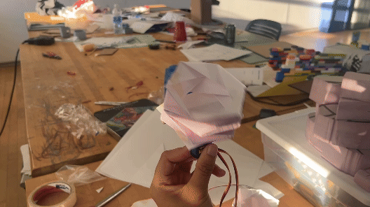 IMG_2437.MOV.gif