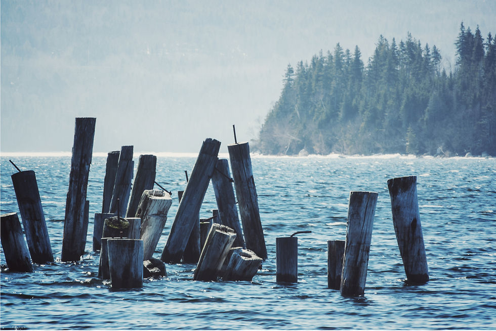 If your pilings look like this, please contact us immediately. Not only are they damaged...but your dock is also missing.