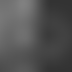 Exploring Dawn and Dusk with The Rose