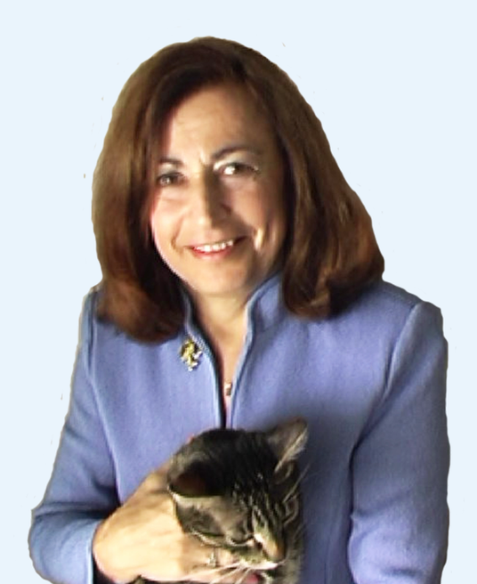 Jan Schneider, candidate photo