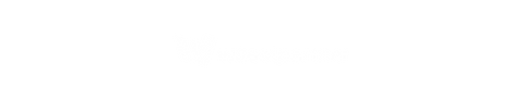 wuest partner