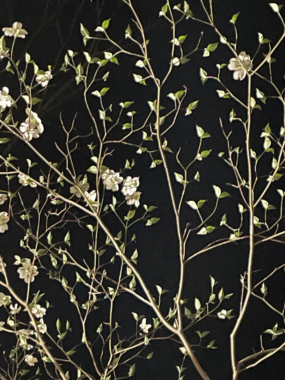 night in the garden