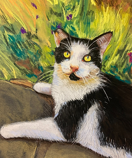 Intro to PASTELS