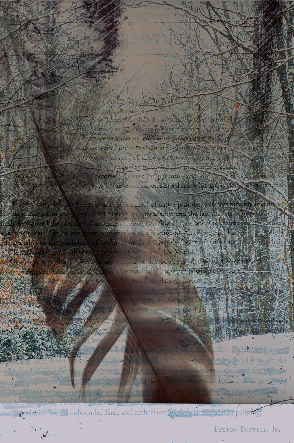unnamed (1)