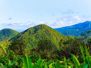 Paysage montagneux de la forêt tropicale de Guadeloupe avec le volcan de la Soufrière en arrière-plan